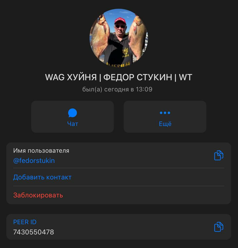 Скриншот